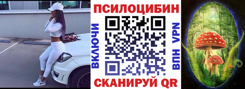 как найти   Куса  Псилоцибиновые грибы MAGIC MUSHROOMS 